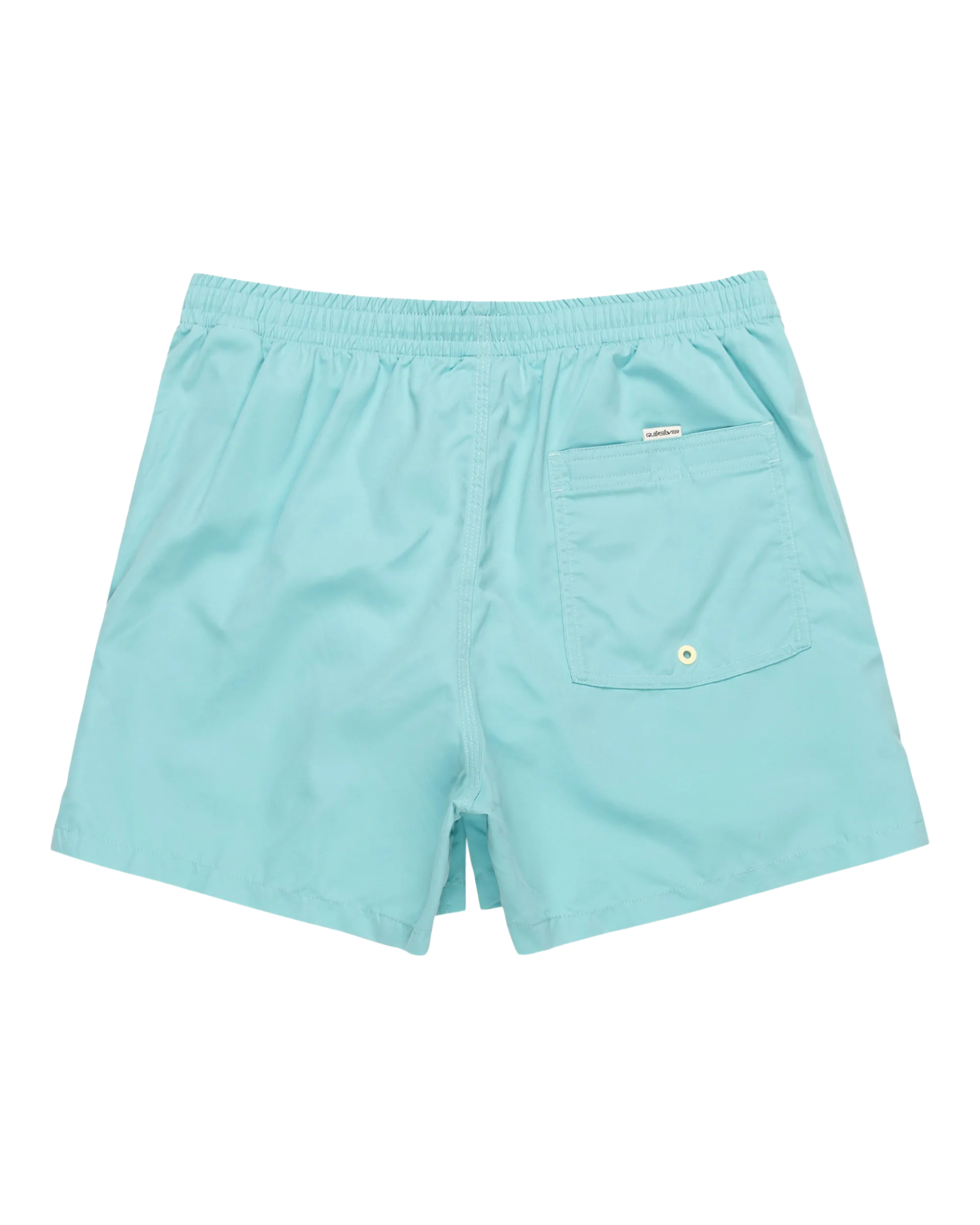 Behind Waves Volley Shorts in Marine Blue